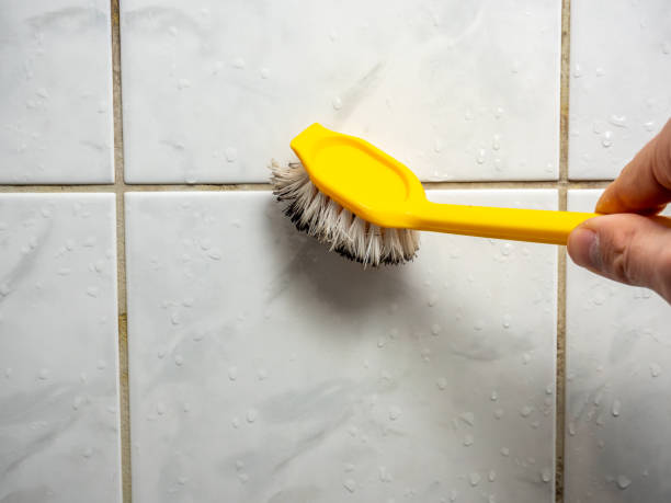 Best Home Mold Removal  in Chico, WA