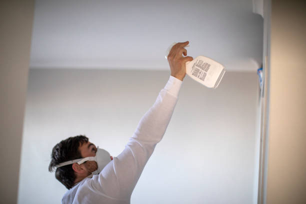 Professional Mold Removal in Chico, WA