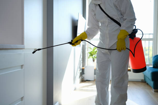 Best Commercial Mold Removal  in Chico, WA